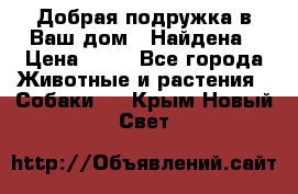 Добрая подружка,в Ваш дом!!!Найдена › Цена ­ 10 - Все города Животные и растения » Собаки   . Крым,Новый Свет